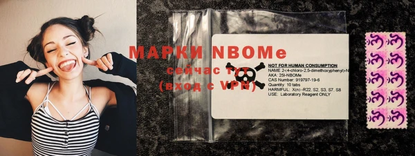 шишки Чистополь