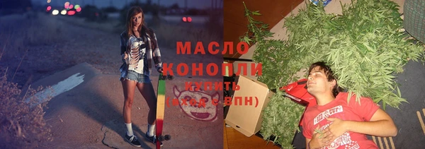 дживик Переславль-Залесский